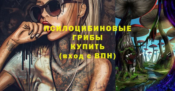 марки nbome Богородицк