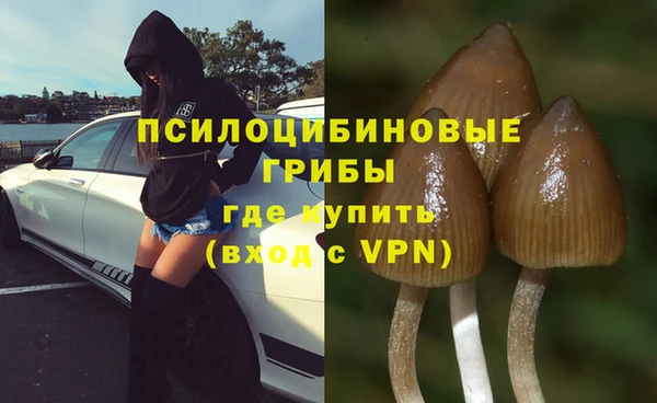 ALPHA-PVP Богородск